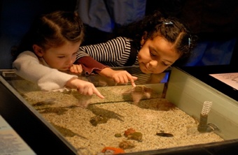 Children interacting at Lied Children's Museum in Las Vegas